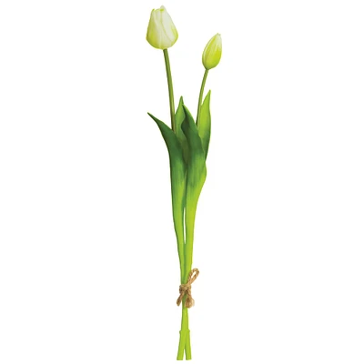 Cream White & Green Tulip Bundle