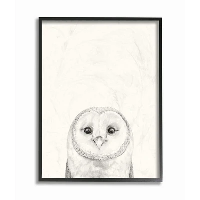 Stupell Industries Owl Portrait Grey Drawing Design Framed Wall Art