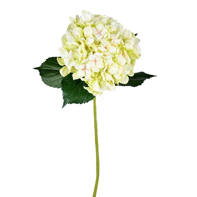 2 Pack: Light Green Hydrangea Spray