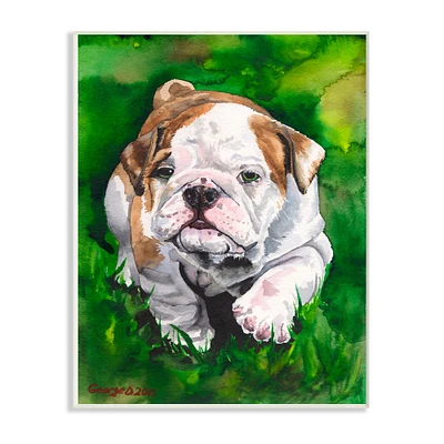 Stupell Industries English Bulldog Puppy Dog Pet Animal Watercolor Painting, 10" x 15"