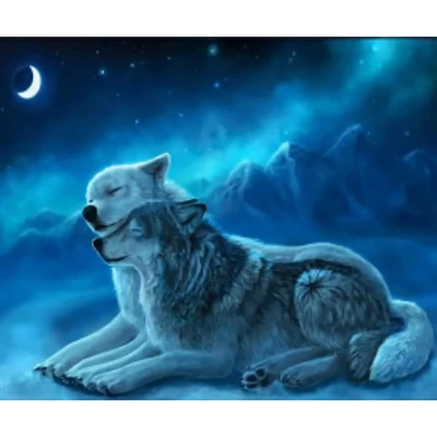 Sparkly Selections Two Wolves Under the Moon Diamond Art Kit, Square Diamonds