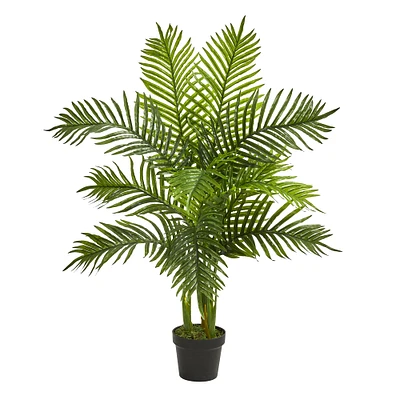 3.5ft. Potted Areca Palm Tree