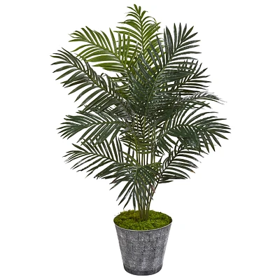 5ft. Paradise Palm Tree in Decorative Planter