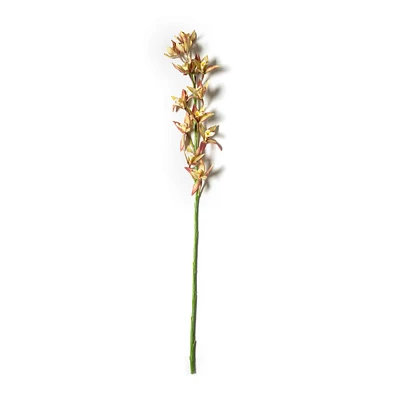 Rust Red Boat Orchid Stem by Ashland®