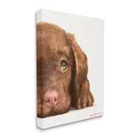 Stupell Industries Chocolate Labrador Puppy Resting Adorable Dog Portrait Canvas Wall Art