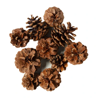 12 Pack: Pinecone Bag by Ashland®