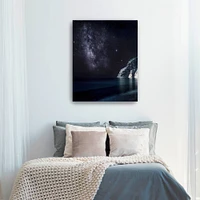 Lumaprints Stars in the South Canvas Giclée Wall Art