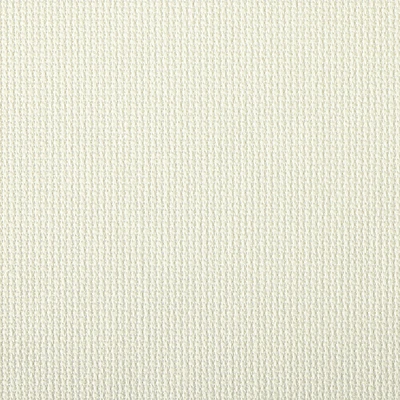12 Pack: Charles Craft® Gold Standard® 14 Count Antique White Aida  Cross Stitch Fabric, 20" x 24"