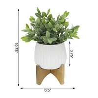 Flora Bunda® 10.7" Tea Leaf in Ridge Pot On Stand