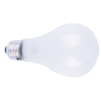 Speedball® Photo Emulsion Flood Bulb