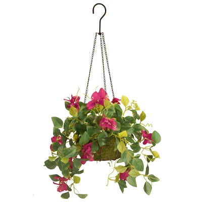 9" Bougainvillea Plant in Hanging Basket