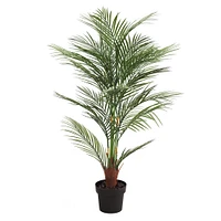 3.9ft. Potted Areca Palm Tree