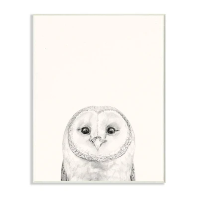 Stupell Industries Owl Portrait Grey Drawing Design Wood Wall Plaque