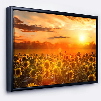 Designart - Yellow Sunset over Sunflowers