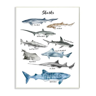 Stupell Industries Nautical Shark Chart Watercolor Marine Animals Wood Wall Plaque