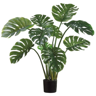 3.25ft. Split Philo Potted Plant