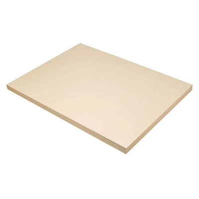 Pacon® 18" x 24" Manila Tagboard, 100ct.