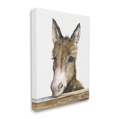 Stupell Industries Baby Donkey Portrait Canvas Wall Art