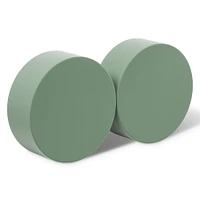 FloraCraft® DryFōM Disc Green