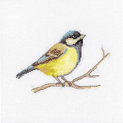 Luca-s Great Tit Counted Cross Stitch Kit