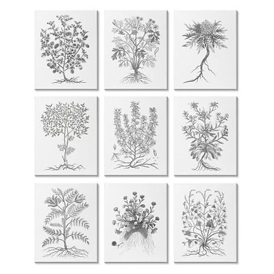 Stupell Industries Vintage Plant Study Black White Illustration Leaves Roots Canvas Wall Art, 11" x 14"