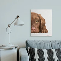 Stupell Industries Chocolate Labrador Puppy Resting Adorable Dog Portrait Canvas Wall Art