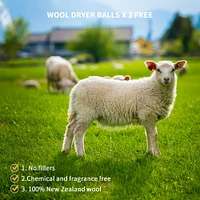 Welaxy Felt 3 Wool Dryer Balls with Gray Storage Tray