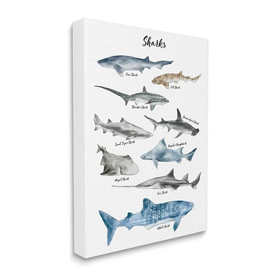 Stupell Industries Nautical Shark Chart Watercolor Marine Animals Canvas Wall Art