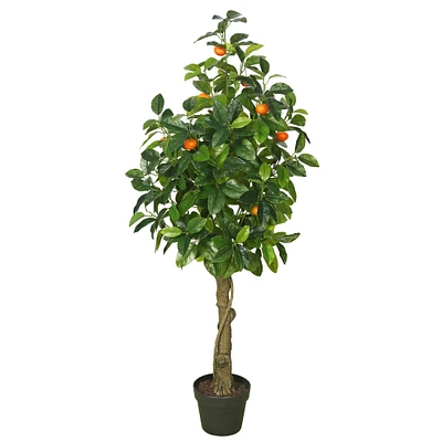 4ft. Potted Orange Tree