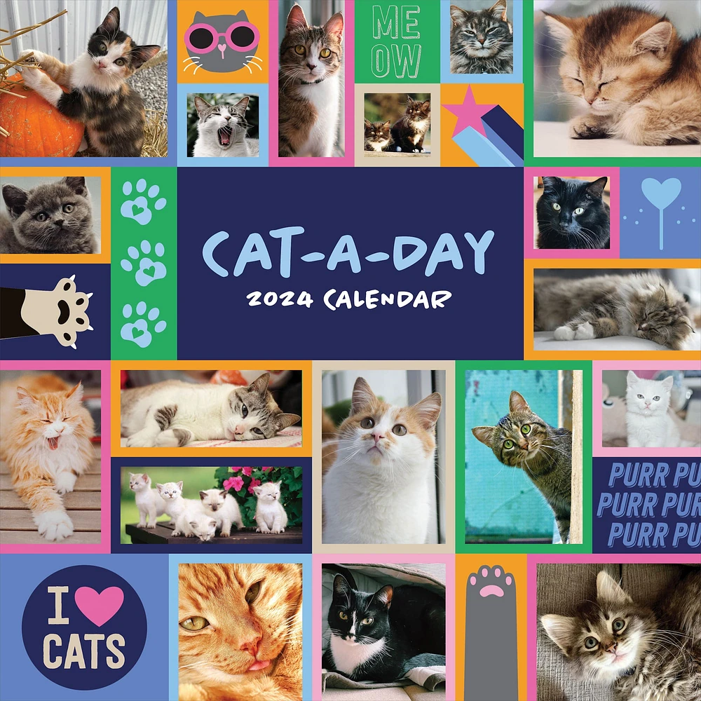 TF Publishing 2024 Cat-A-Day Wall Calendar