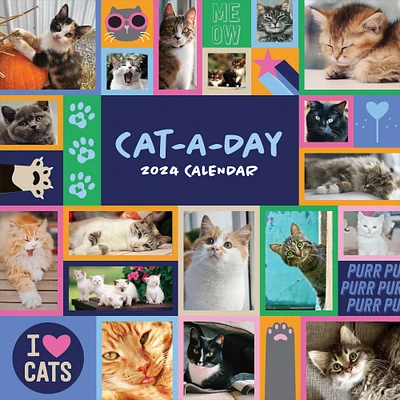 TF Publishing 2024 Cat-A-Day Wall Calendar