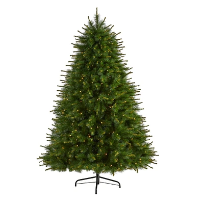 7ft. Pre-Lit New England Pine Artificial Christmas Tree, Clear LED Lights