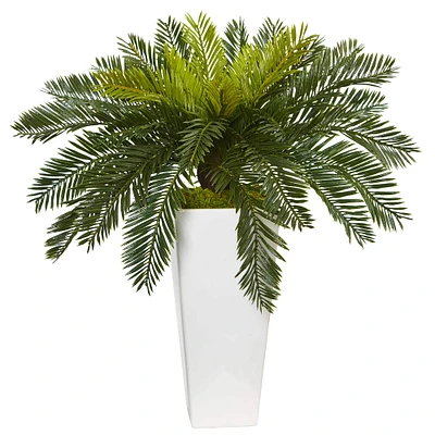 23" Potted Cycas in Decorative White Planter