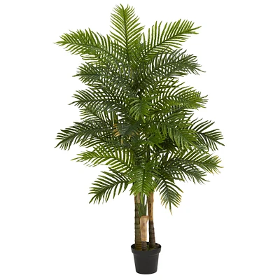 6ft. Potted Areca Palm Tree