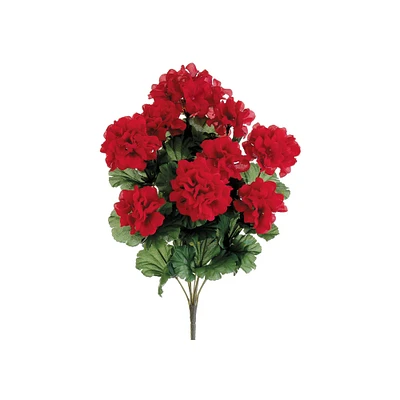 24 Pack: Red Geranium Bush