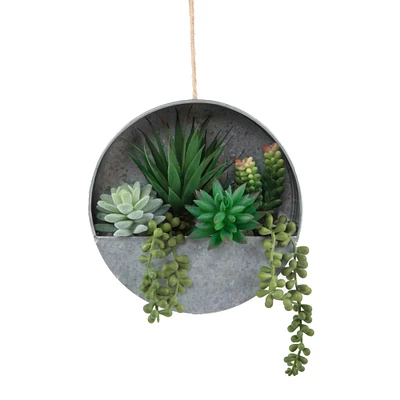 Flora Bunda® 8" Succulent in Hanging Wall Planter
