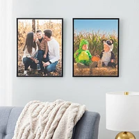 2-Pack Multipurpose Frames