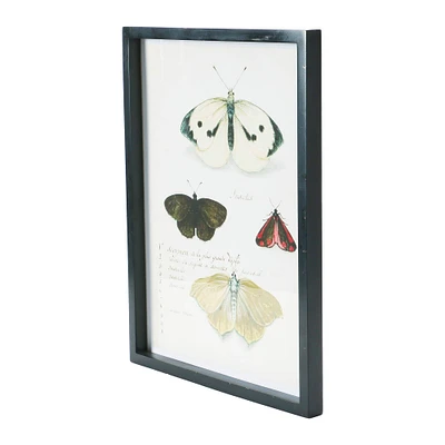 Wood Framed Wall Décor with Insects Set