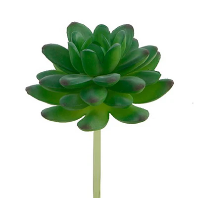 Flora Bunda® Stonecrop Succulent Pick, 12ct.