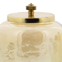 Gold Glass Glam Decorative Jar Set