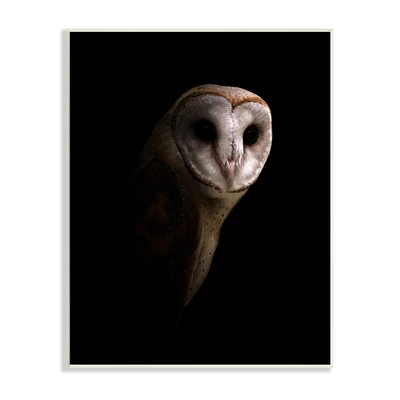 Stupell Industries Intense Barn Owl Black Shadow Photography Wall Plaque Art