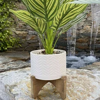 Flora Bunda® 5" Wavy Ceramic Planter on Wood Stand