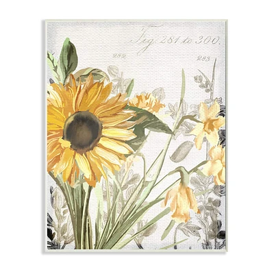 Stupell Industries Soft Sunflower Floral Wall Art