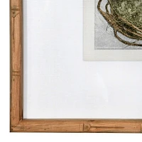 18" Birds & Nests Print Wooden Frame Set