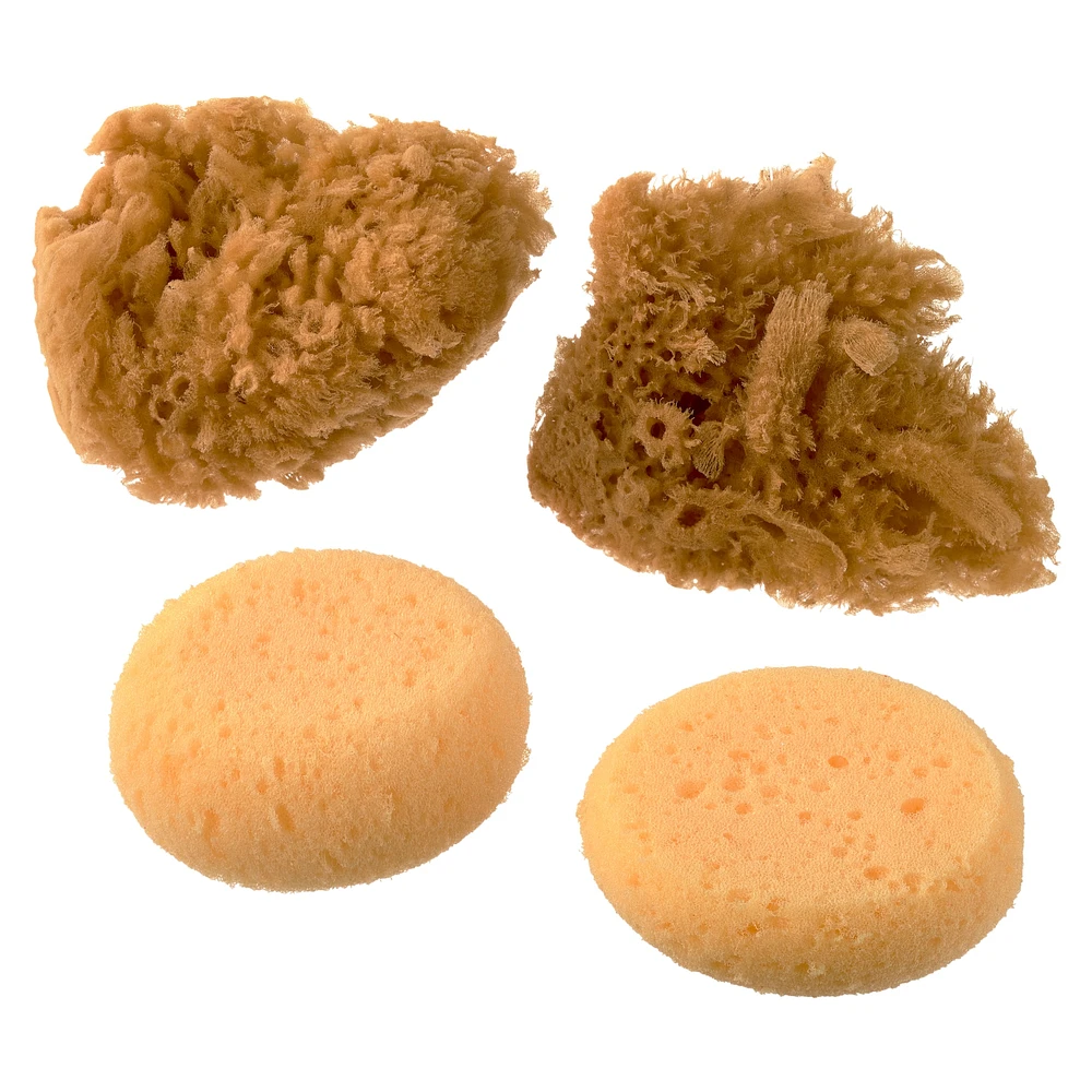 Royal & Langnickel® Natural & Synth Sponge Pack