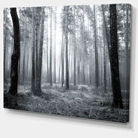 Designart - Black and White Foggy Forest