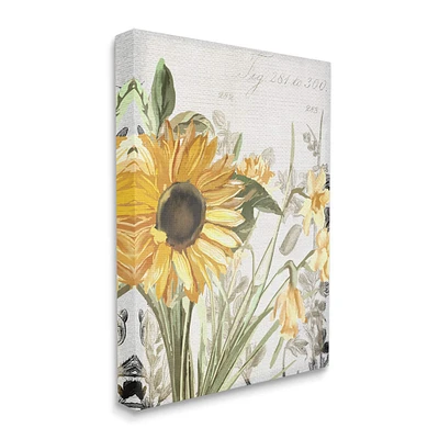 Stupell Industries Soft Sunflower Floral Canvas Wall Art