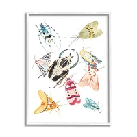 Stupell Industries Garden Insect Arrangement Charming Winged Creatures in Frame Wall Art