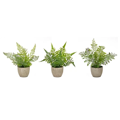 11" Potted Fern Plant Set