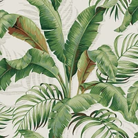 Tommy Bahama® Palmiers Peel & Stick Wallpaper